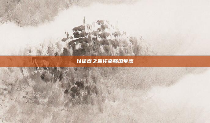 以体育之翼托举强国梦想