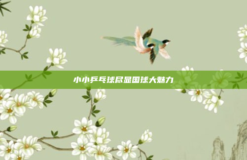 小小乒乓球尽显国球大魅力