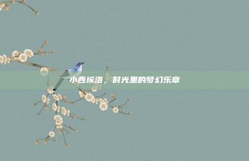 小西埃洛，时光里的梦幻乐章