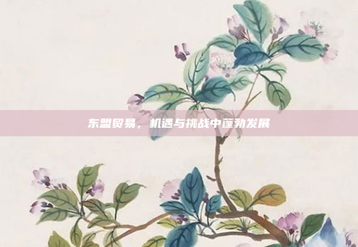东盟贸易，机遇与挑战中蓬勃发展
