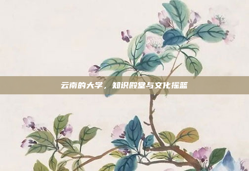 云南的大学，知识殿堂与文化摇篮