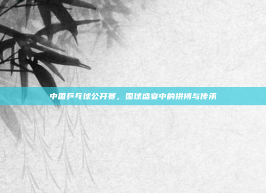 中国乒乓球公开赛，国球盛宴中的拼搏与传承