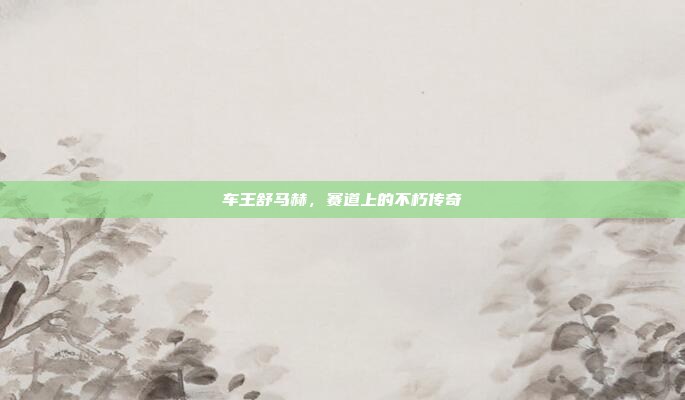 车王舒马赫，赛道上的不朽传奇