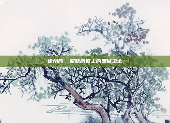 徐州舰,深蓝航道上的忠诚卫士