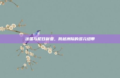 法国与尼日利亚,跨越洲际的多元纽带
