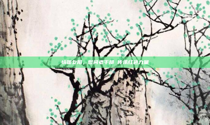 情暖夕阳，慰问老干部 传承红色力量