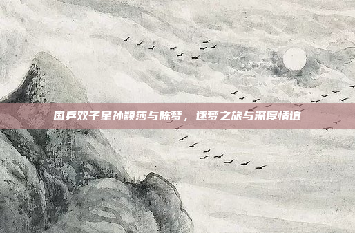 国乒双子星孙颖莎与陈梦，逐梦之旅与深厚情谊
