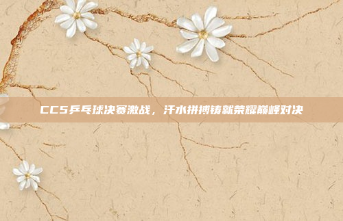 CC5乒乓球决赛激战，汗水拼搏铸就荣耀巅峰对决