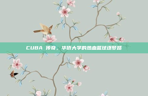 CUBA 传奇，华侨大学的热血篮球逐梦路
