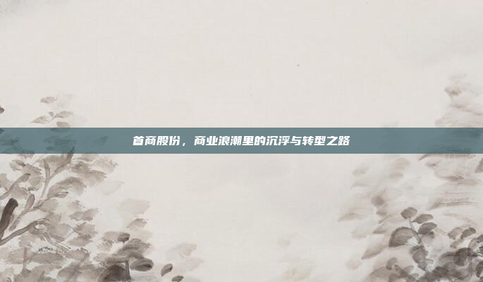 首商股份,商业浪潮里的沉浮与转型之路