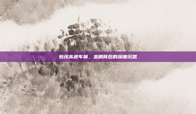 包茂高速车祸，悲剧背后的深度沉思
