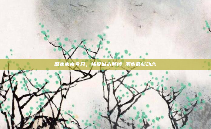 聚焦南京今日，捕捉城市脉搏 洞察最新动态