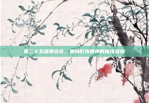 第二十五届奥运会,奥林匹克精神的璀璨绽放