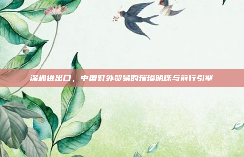 深圳进出口，中国对外贸易的璀璨明珠与前行引擎
