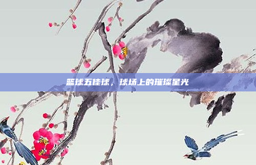 篮球五佳球,球场上的璀璨星光