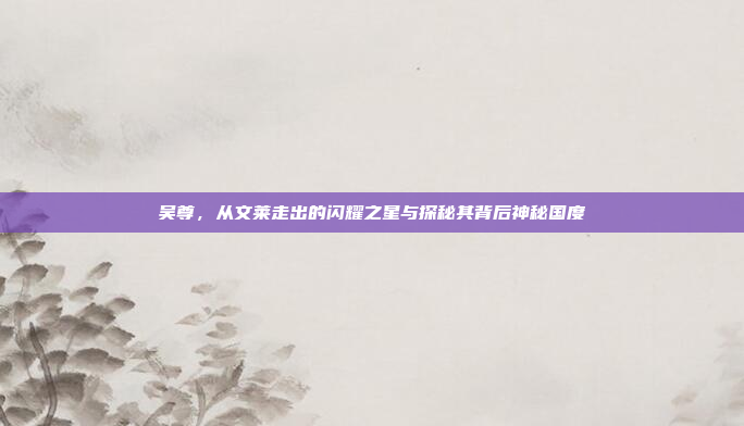 吴尊,从文莱走出的闪耀之星与探秘其背后神秘国度