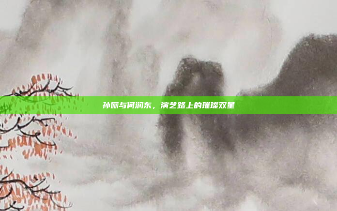 孙俪与何润东，演艺路上的璀璨双星