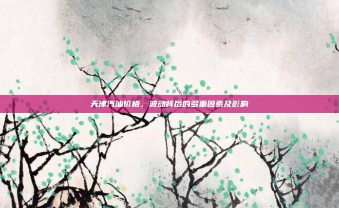 天津汽油价格，波动背后的多重因素及影响
