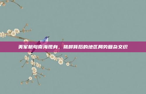 美军航母南海现身,挑衅背后的地区局势复杂交织