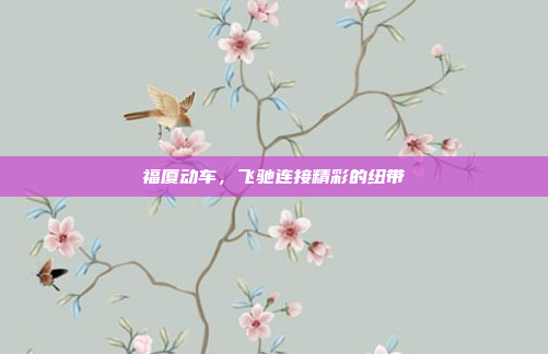 福厦动车，飞驰连接精彩的纽带