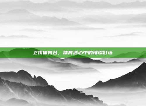 卫视体育台，体育迷心中的璀璨灯塔