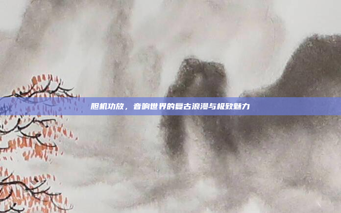 胆机功放，音响世界的复古浪漫与极致魅力