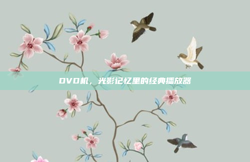 DVD机，光影记忆里的经典播放器