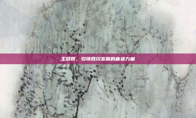 王晓辉,引领四川发展的奋进力量