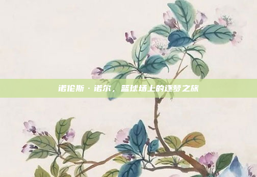 诺伦斯·诺尔，篮球场上的逐梦之旅