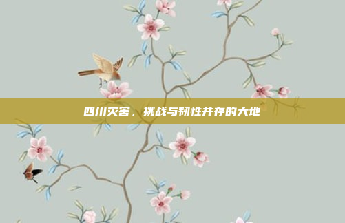 四川灾害，挑战与韧性并存的大地