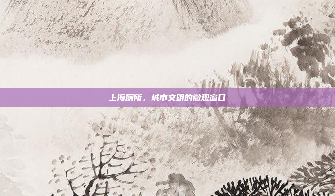 上海厕所,城市文明的微观窗口