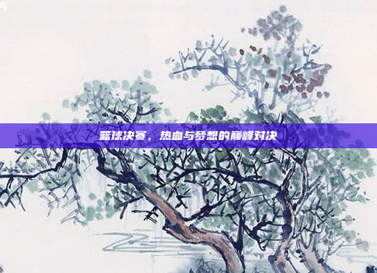 篮球决赛，热血与梦想的巅峰对决