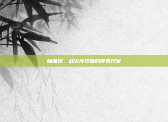 杨思禄，战火淬炼出的传奇将军