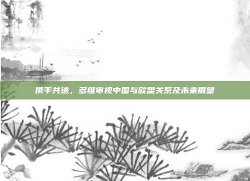 携手共进，多维审视中国与欧盟关系及未来展望