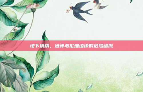 地下捐精,法律与伦理边缘的危险暗流