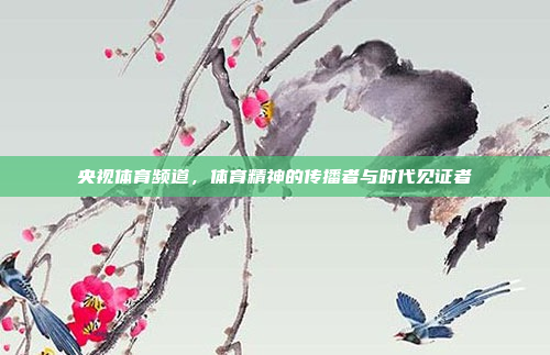 央视体育频道，体育精神的传播者与时代见证者