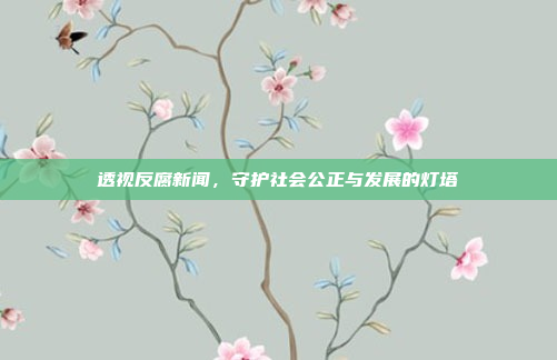 透视反腐新闻，守护社会公正与发展的灯塔