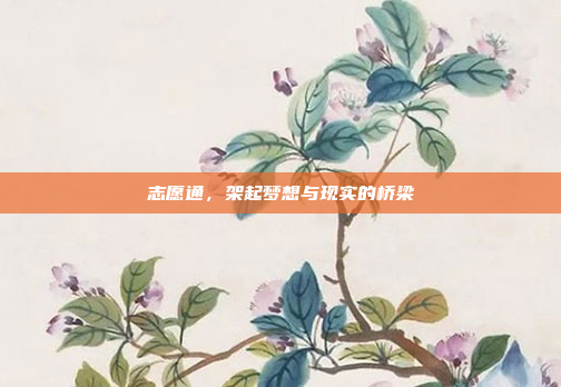 志愿通，架起梦想与现实的桥梁