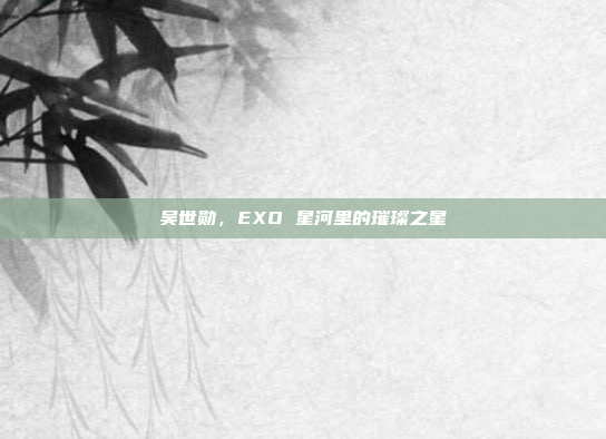 吴世勋,EXO 星河里的璀璨之星
