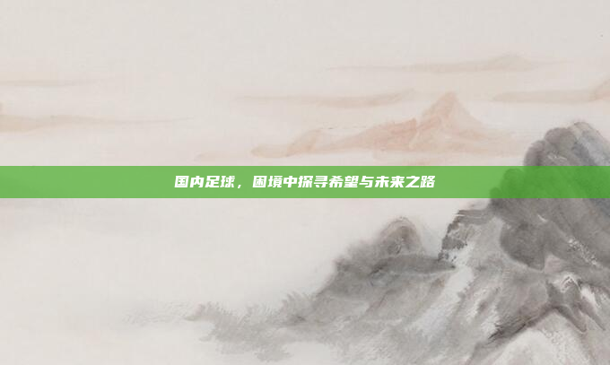 国内足球，困境中探寻希望与未来之路