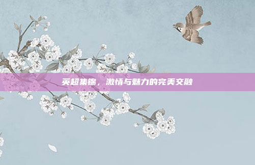 英超集锦，激情与魅力的完美交融