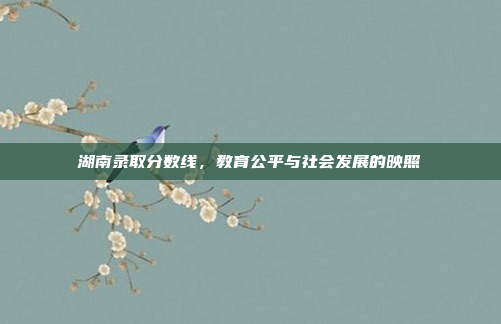 湖南录取分数线，教育公平与社会发展的映照