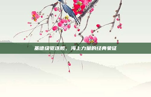 基德级驱逐舰，海上力量的经典象征