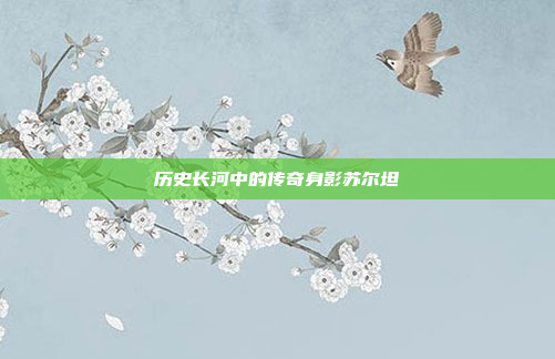 历史长河中的传奇身影苏尔坦