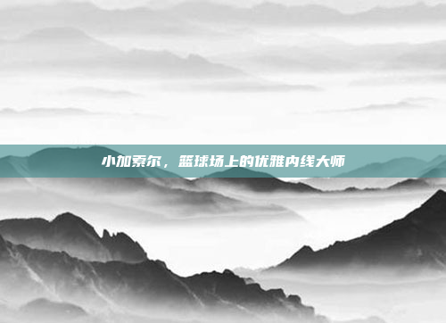 小加索尔,篮球场上的优雅内线大师