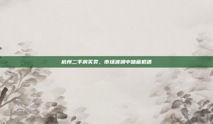 杭州二手房买卖,市场波澜中暗藏机遇