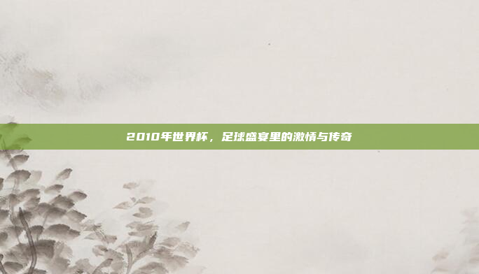 2010年世界杯，足球盛宴里的激情与传奇