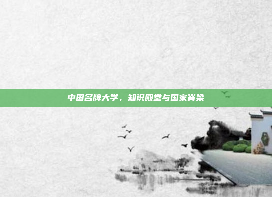 中国名牌大学,知识殿堂与国家脊梁