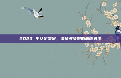 2023 年女足决赛，激情与梦想的巅峰对决