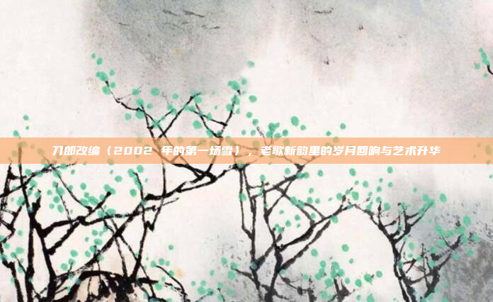 刀郎改编〈2002 年的第一场雪〉，老歌新韵里的岁月回响与艺术升华